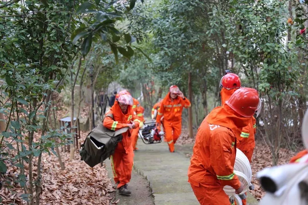 清明時節(jié)，區(qū)長緊盯森林防火，要求必須全力以赴，嚴防死守！