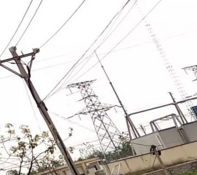 看看這些電力人的春季巡檢！