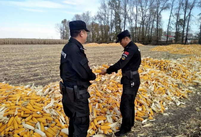 禁燒秸稈走田間、共鑄警魂保藍(lán)天